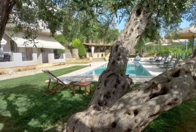 Poseidon Swimming Pool '24 (1)