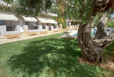 Poseidon Swimming Pool '24 (2)